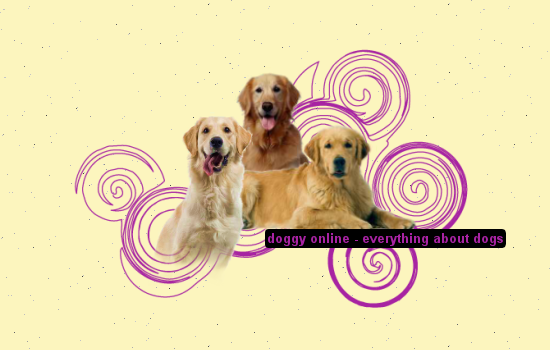 Doggy OnlineEverything about the dogs